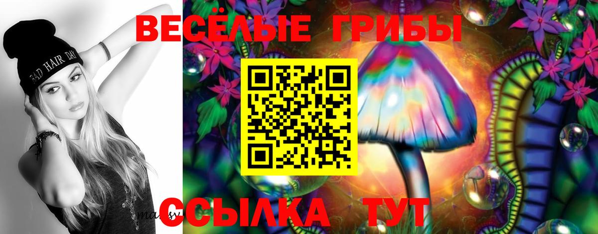 Шали  цены наркотик  Вход с VPN  Галлюциногенные грибы Cubensis 